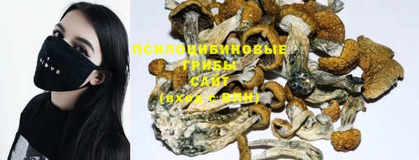 прущая мука Новодвинск