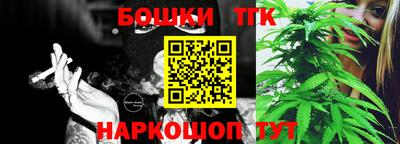 твердый Камышлов