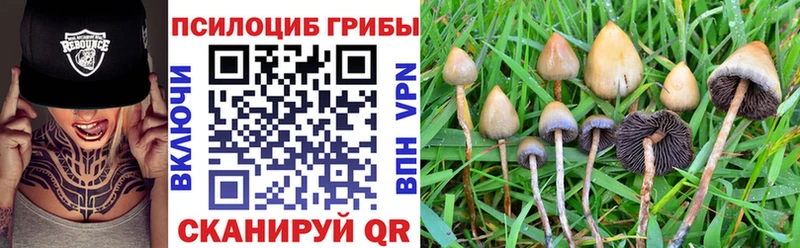 наркота  Саранск  Галлюциногенные грибы мухоморы 