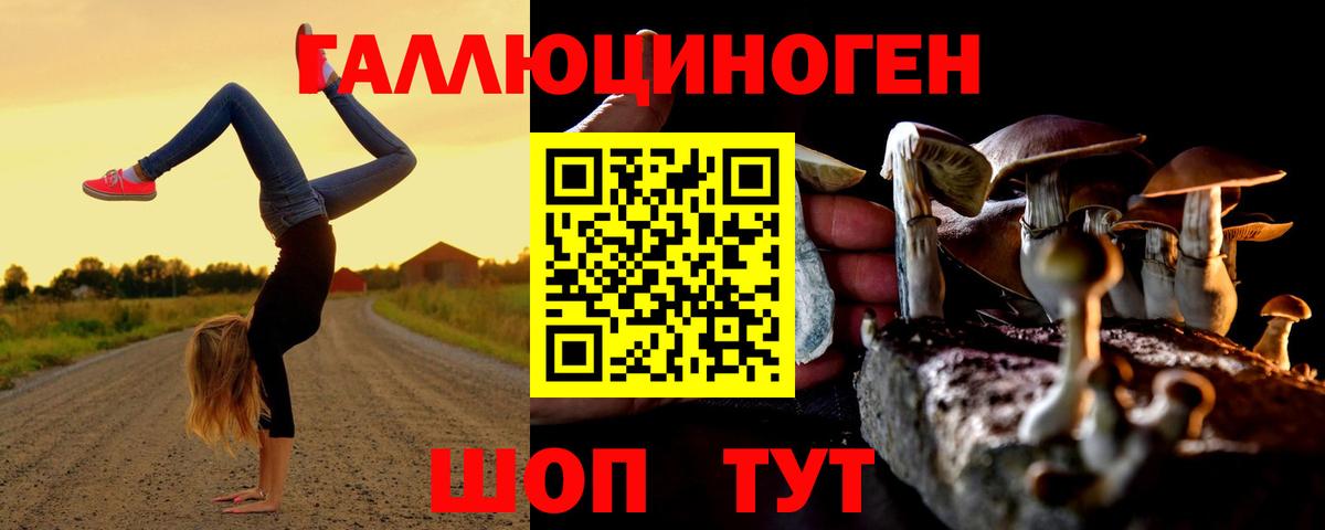 Псилоцибиновые грибы Magic Shrooms Саранск