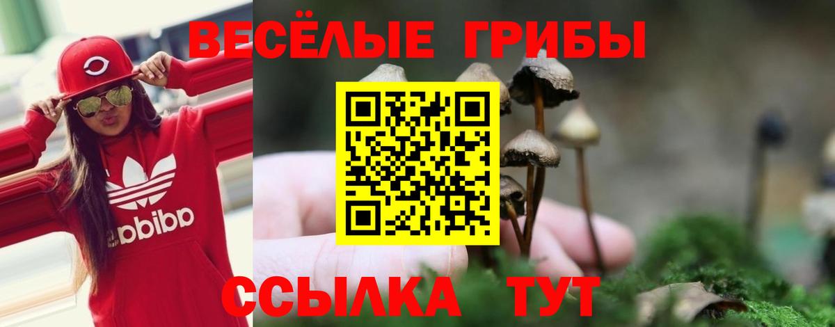магазин продажи наркотиков  Вход с VPN  Саранск  Галлюциногенные грибы GOLDEN TEACHER 