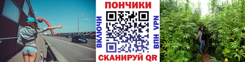 купить Саранск блэк спрут сайт Шишки марихуана AK-47